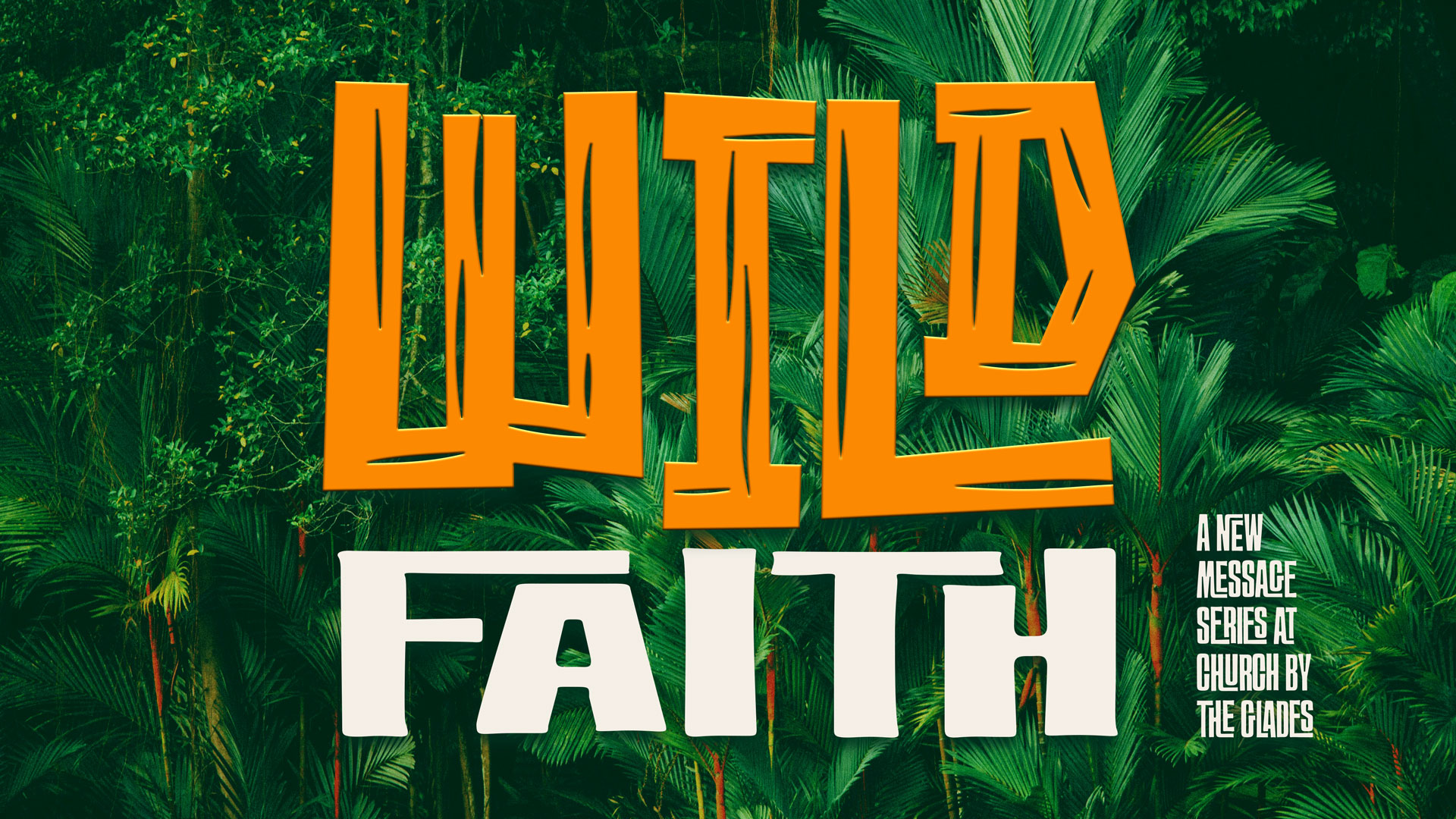  WILD FAITH